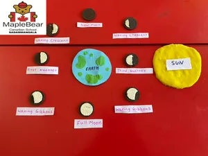 Phases of the Moon Activity -34