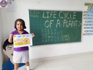 Psy 3 life cycle of a plant-5