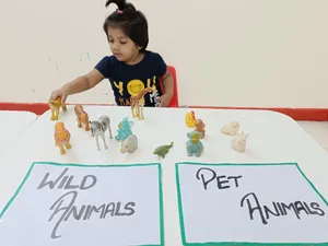 Review of Wild and Pet Animals