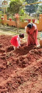 Nursery LM- Shankaranthi / Pongal celebration-2
