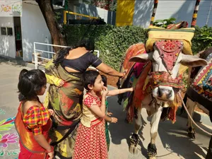 Medio 3 Sankranti Celebrations-24