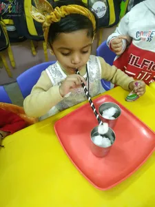 Stem activity-14