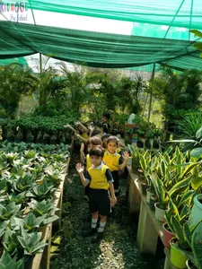 🪴🌱🌎 Earth Day Celebration - Nursery Visit 🌎🌱🪴-19
