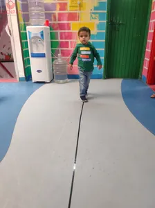 Walking in a straight  line-9