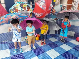 Rainy day celebration jrkg B-31