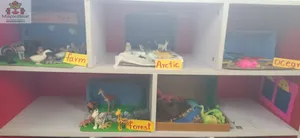 Grade2 - science activities-4