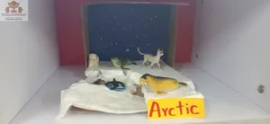 Grade2 - science activities-5