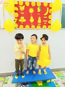 Celebrating Yellow Colour-13