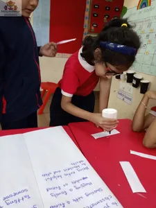 Grade 2 - English activities-8