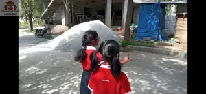 Grade2 - science activities-17