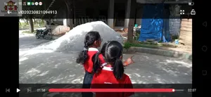 Grade2 - science activities-18