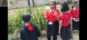 Grade2 - science activities-21