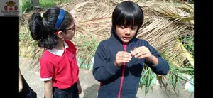 Grade2 - science activities-23