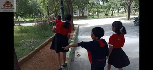 Grade2 - science activities-24