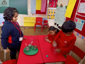 Grade2 - science activities-38