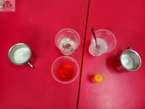 Grade2 - science activities-41