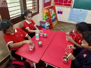 Grade2 - science activities-42