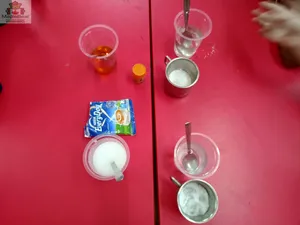 Grade2 - science activities-44