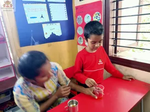 Grade2 - science activities-45