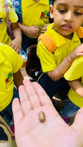 Nature walk Nursery class-2