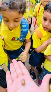 Nature walk Nursery class-3