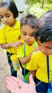 Nature walk Nursery class-6